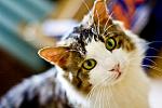     
: IMG_3647.jpg
: 5
:	80.6 
ID:	4460530