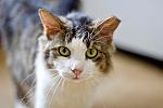     
: IMG_3665.jpg
: 6
:	62.8 
ID:	4460533