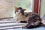     
: IMG_3533.jpg
: 5
:	168.3 
ID:	4460535