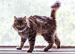     
: IMG_3590.jpg
: 6
:	101.9 
ID:	4460550