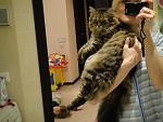     
: DSC02295.jpg
: 11
:	105.7 
ID:	4465247
