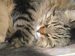     
: DSC02946.jpg
: 9
:	182.2 
ID:	4465248