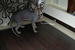     
: DSCN3296.JPG
: 8
:	78.6 
ID:	4465297