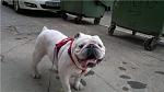     
: d0f3fbdecd8c.jpg
: 11
:	43.5 
ID:	4466151