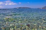     
: IMG_0282sm.jpg
: 66
:	143.6 
ID:	4469191