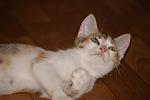     
: DSC06980.jpg
: 8
:	67.2 
ID:	4469897