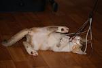     
: DSC06978.jpg
: 10
:	67.3 
ID:	4469900