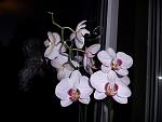     
: GEDC0302.JPG
: 4
:	173.9 
ID:	4470462