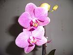     
: GEDC0286.jpg
: 3
:	68.2 
ID:	4470464
