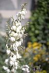     
: IMG_0685.jpg
: 20
:	71.4 
ID:	4472351