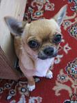     
: IMG_2291.jpg
: 8
:	73.6 
ID:	4472461
