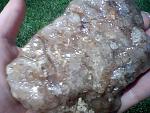     
: IMG0759A.jpg
: 8
:	86.7 
ID:	4472917