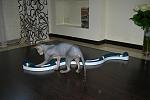     
: DSCN3529.JPG
: 5
:	58.5 
ID:	4473305