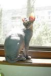     
: DSCN3312.JPG
: 5
:	98.5 
ID:	4473325