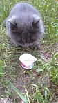     
: 30062012006.jpg
: 5
:	147.6 
ID:	4477396