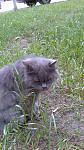     
: 30062012007.jpg
: 7
:	151.4 
ID:	4477397
