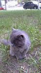     
: 30062012008.jpg
: 4
:	148.6 
ID:	4477398