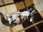     
: P1013657.jpg
: 7
:	114.4 
ID:	4478992