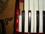     
: DSC02542.jpg
: 20
:	113.2 
ID:	4480897