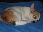     
: P6300004.jpg
: 19
:	79.5 
ID:	4480939