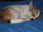     
: P6300005.jpg
: 19
:	77.2 
ID:	4480952