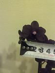     
: 290620121037.jpg
: 5
:	55.4 
ID:	4481286