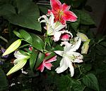     
: IMG_2871.jpg
: 9
:	142.0 
ID:	4481693