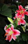     
: IMG_2872.jpg
: 7
:	87.8 
ID:	4481694