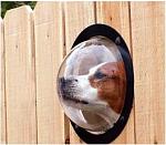     
: dog.jpg
: 11
:	12.4 
ID:	4483515
