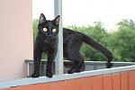     
: IMG_6349.jpg
: 4
:	71.5 
ID:	4484282