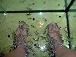     
: IM000275 1.jpg
: 14
:	214.7 
ID:	4484653