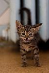     
: IMG_3825.jpg
: 7
:	74.6 
ID:	4485175