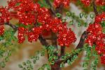     
: DSC_0005.jpg
: 7
:	142.3 
ID:	4486312
