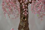    
: DSC_0048.jpg
: 6
:	88.2 
ID:	4486486
