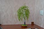     
: DSC_0035.jpg
: 5
:	96.6 
ID:	4486528