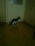     
: 02072012869.jpg
: 5
:	31.9 
ID:	4487430