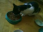     
: 02072012860.jpg
: 3
:	68.8 
ID:	4487431