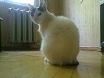     
: 02072012858.jpg
: 6
:	77.0 
ID:	4487476