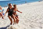    
: IMG_1015.JPG
: 24
:	240.1 
ID:	4489721