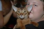     
: 2009-08 Finland Show (173).jpg
: 30
:	22.7 
ID:	449372