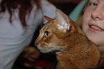     
: 2009-08 Finland Show (176).jpg
: 24
:	23.7 
ID:	449377