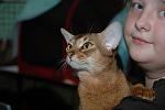     
: 2009-08 Finland Show (178).JPG
: 19
:	143.0 
ID:	449378