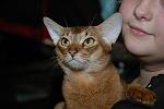     
: 2009-08 Finland Show (180).JPG
: 22
:	145.1 
ID:	449379