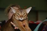     
: 2009-08 Finland Show (185).JPG
: 22
:	142.5 
ID:	449381