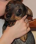     
: IMG_4399.jpg
: 8
:	79.0 
ID:	4495485