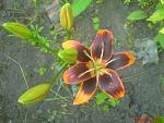     
: DSC09012.jpg
: 5
:	79.1 
ID:	4496346