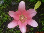     
: DSC08904.jpg
: 6
:	76.0 
ID:	4496348