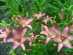     
: DSC08833.jpg
: 6
:	80.0 
ID:	4496359