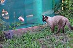     
: DSC_0019-2.jpg
: 9
:	172.9 
ID:	4497185