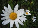     
: DSCN3886.jpg
: 4
:	108.1 
ID:	4497991